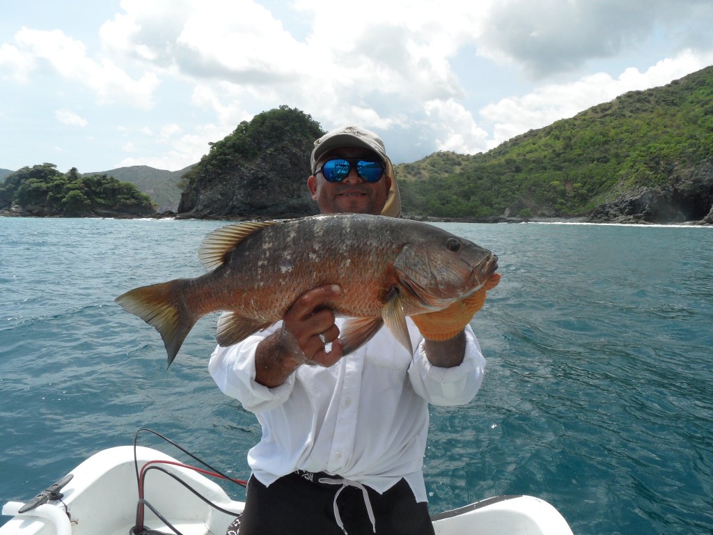 Papagayo Sport Fishing Charter Rates
