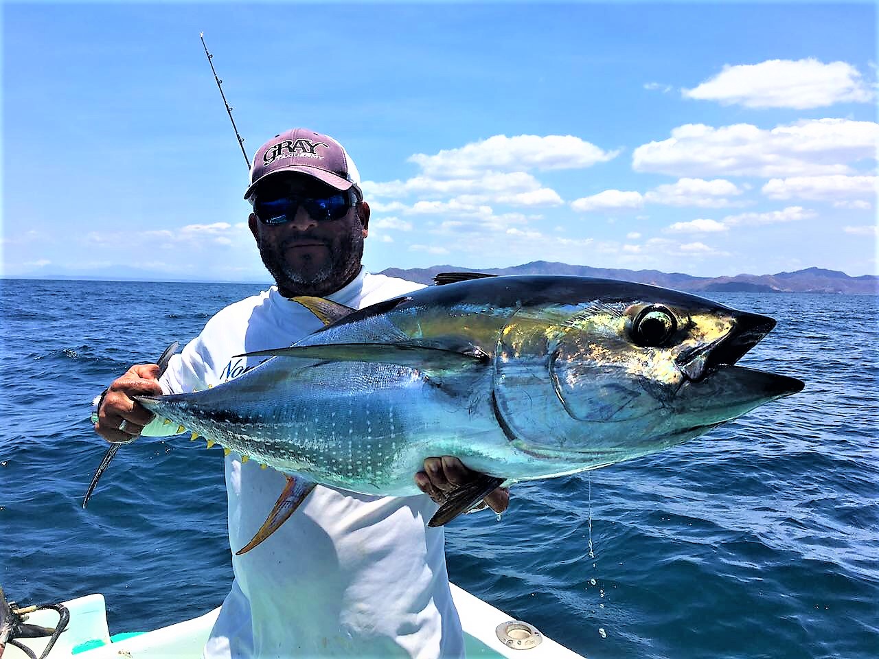 Species of Fish, Papagayo Costa Rica Fishing Charters, Sport Fishing Tours