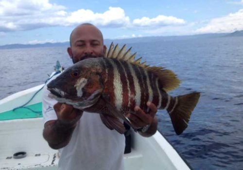 Bottom Fishing Bottom Fishing