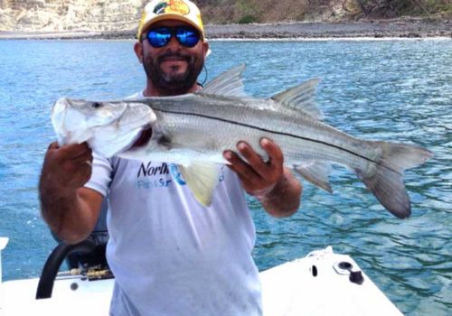 Casting for Snook Fish Casting for Snook Fish
