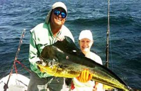 Dorado-MahiMahi Dorado-MahiMahi