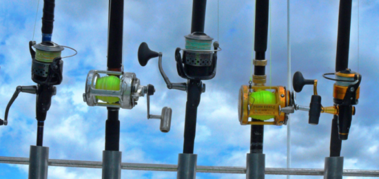 Fishing Gear Penn International Fishing Gear Penn International