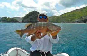 Grouper Grouper