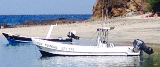 North Pacific Tours North Pacific Tours