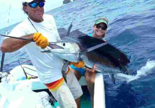 Live Bait Fishing Live Bait Fishing