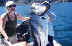 Rooster Fish - Catch and Release Costa Rica Rooster Fish - Catch and Release Costa Rica