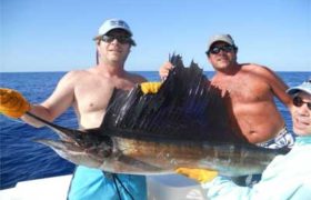 Sail_Marlin Sail_Marlin