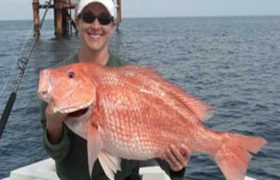 Snapper Snapper