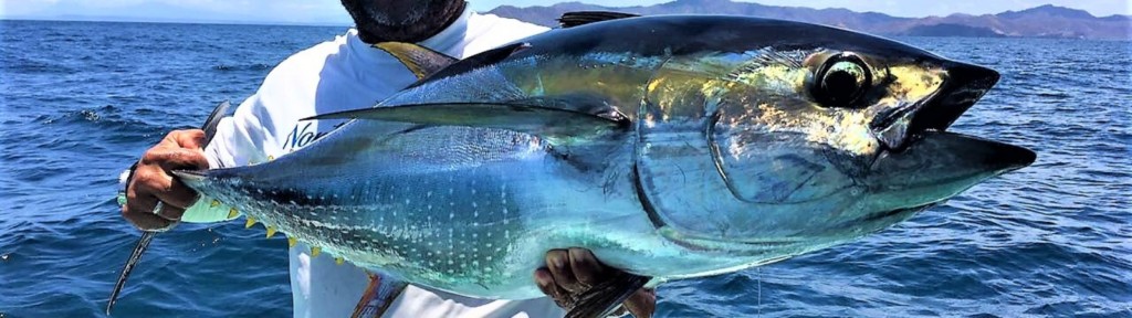 Papagayo Sport Fishing Charter Rates